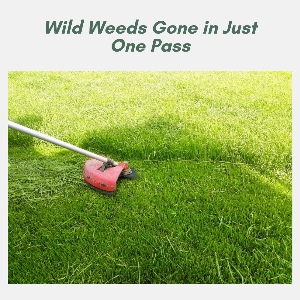 VerdantEase™ — Transform Your Lawn Fast and Leave Neighbors Jealous
