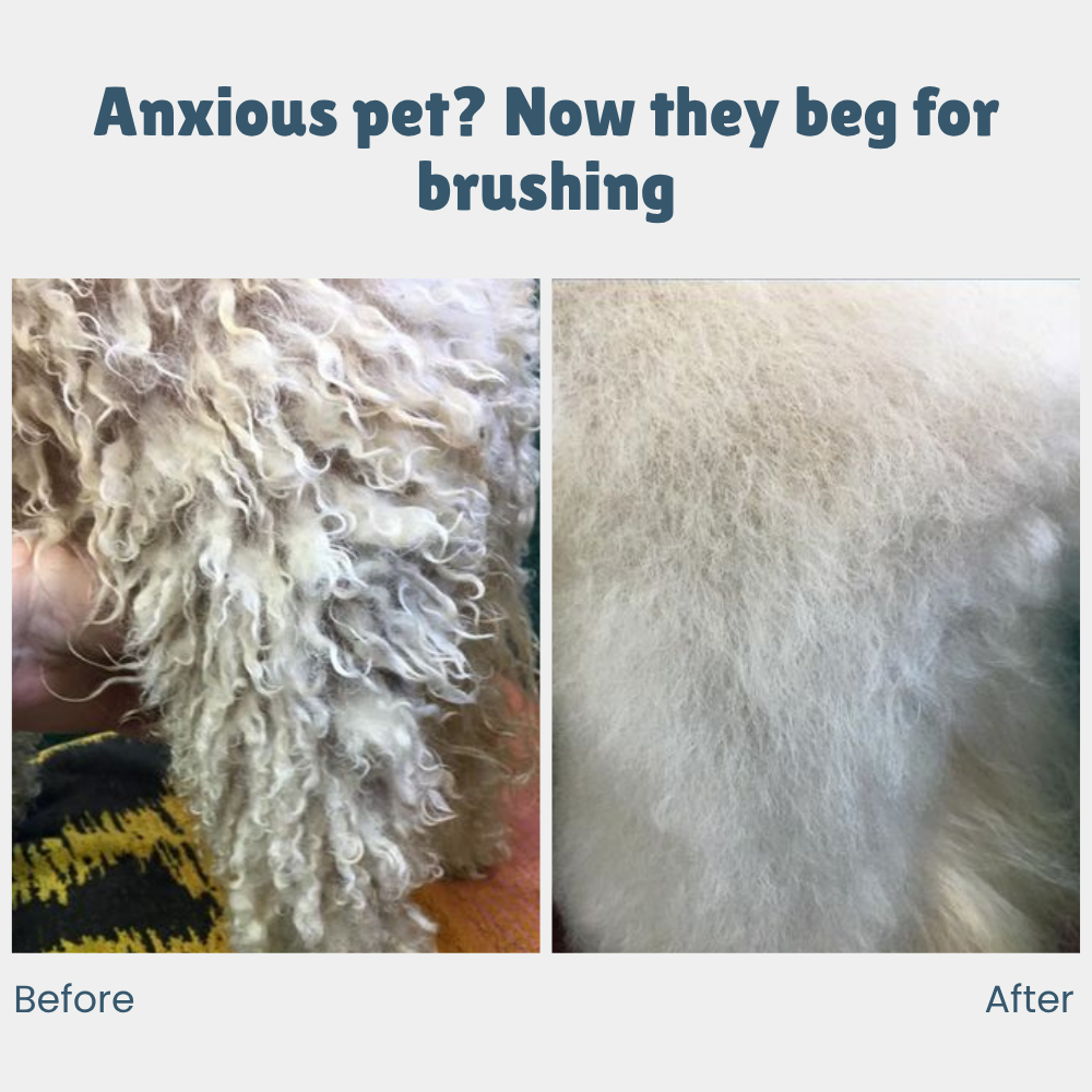 SteamSleek™ — End Shedding Struggles and Gift Your Pet a Silky, Stress-Free Glow