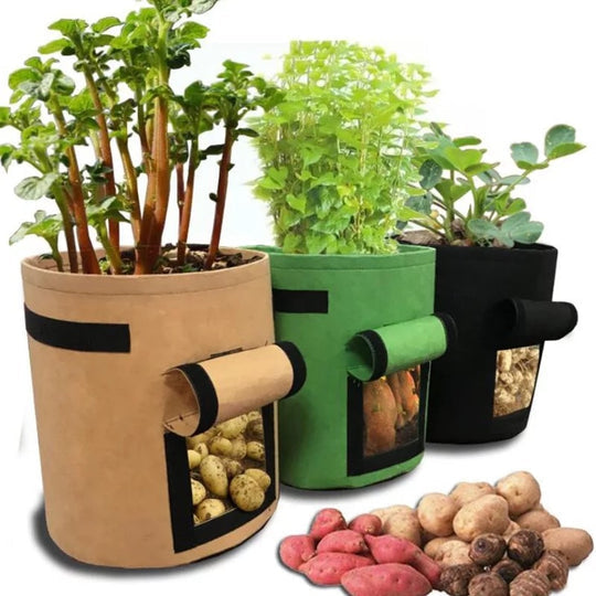 Grow Bag | Permeable Nonwoven Material | Harvest Flap with Velcro Closure | HarvestBag