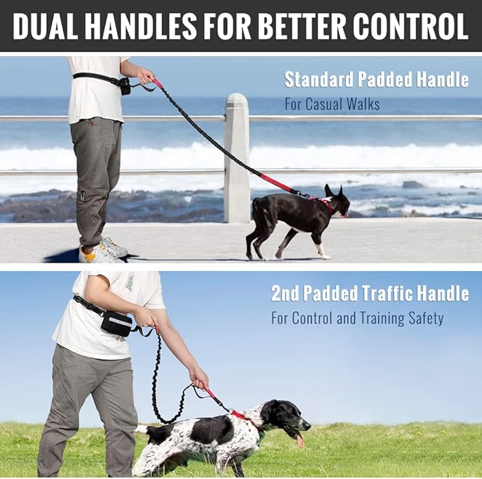 Soft Control Dog Leash for Relaxed Walks Without Jerking