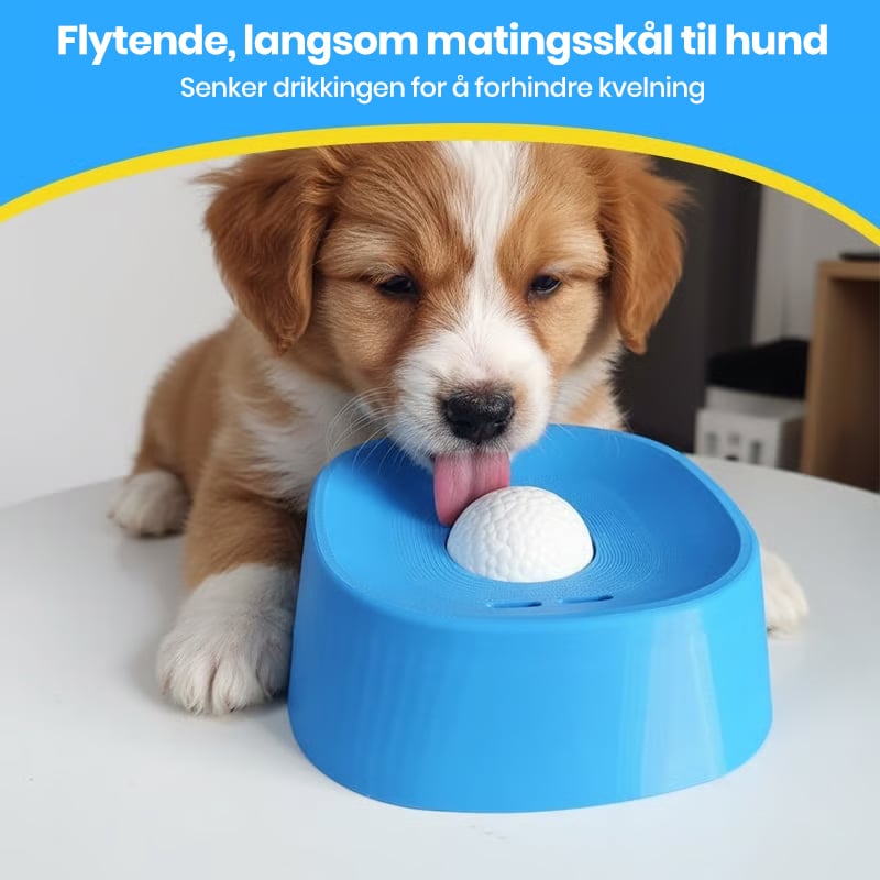 Calm Drinking Solution for Stress-Free Digestion and Happy Dogs