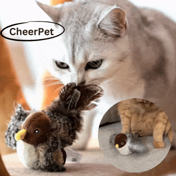 Fliara™ — Spark Your Cat’s Wild Joy with Endless Fluttering Fun