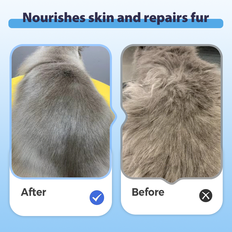 Shampoo for Silky, Happy Fur for All Pets