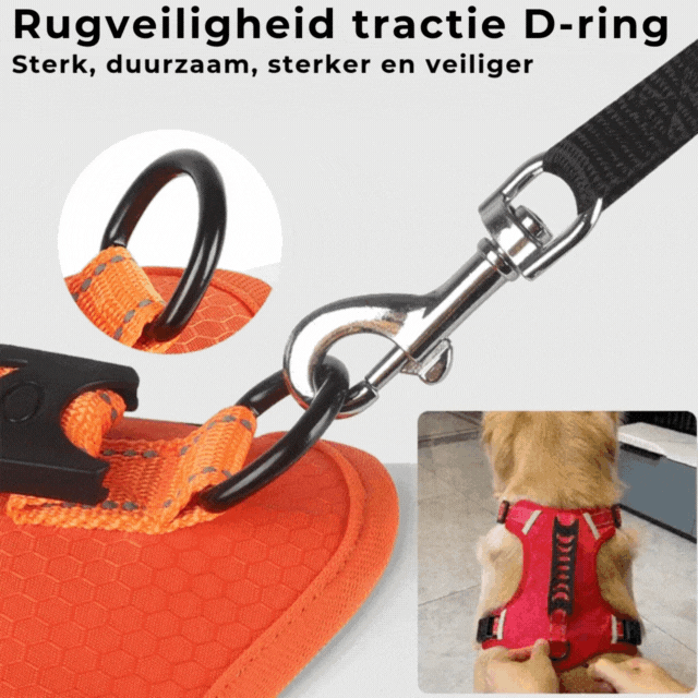 PawEase Harness - Enjoy Relaxed Walks Without Pulling and Maximum Comfort