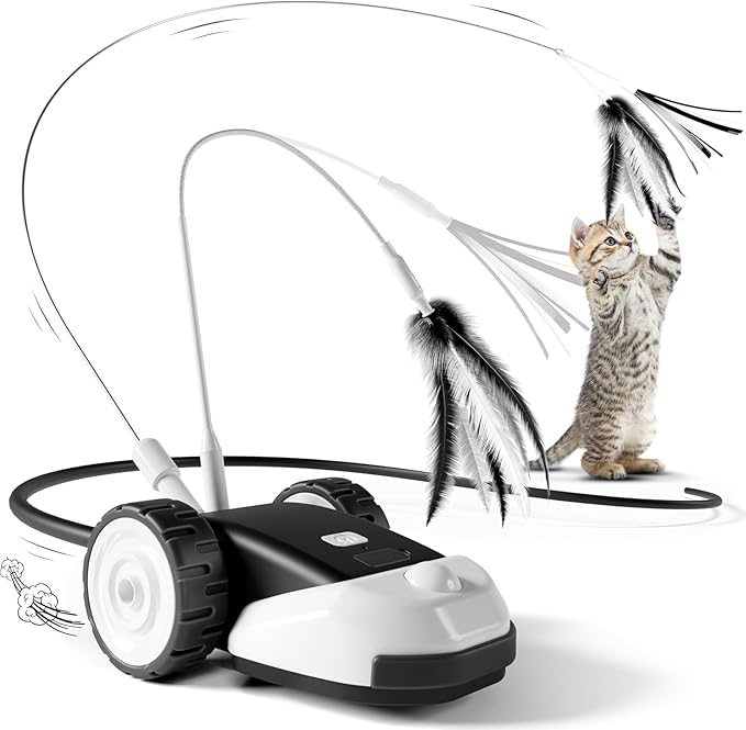 Unleash Wild Playtime for Your Cat with Engaging Fun Toys