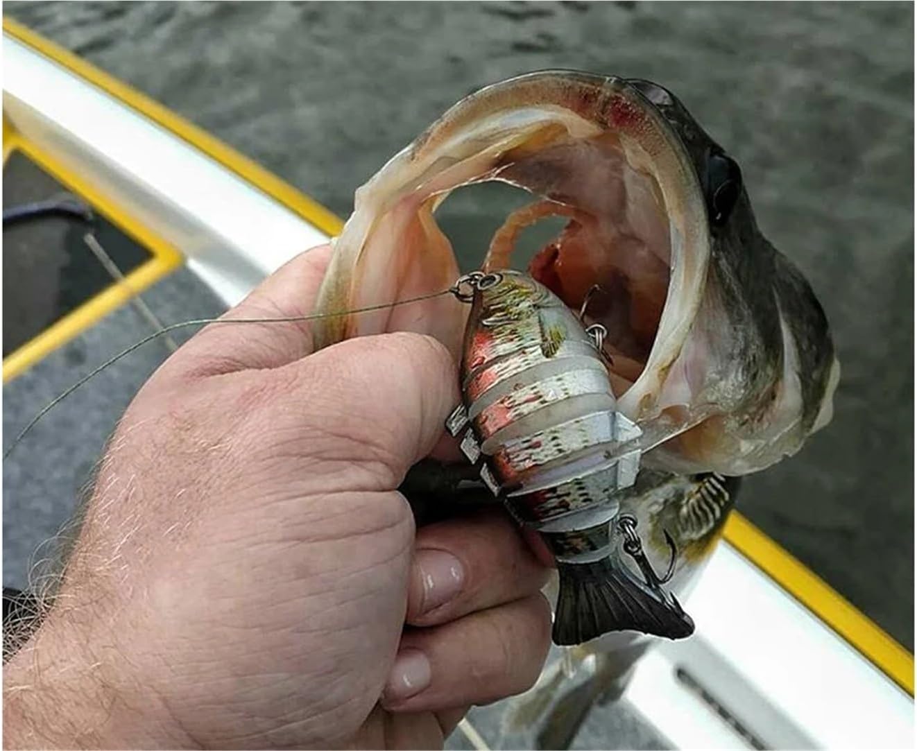 More Bites, Less Waiting – PredatorX Fishing Gear