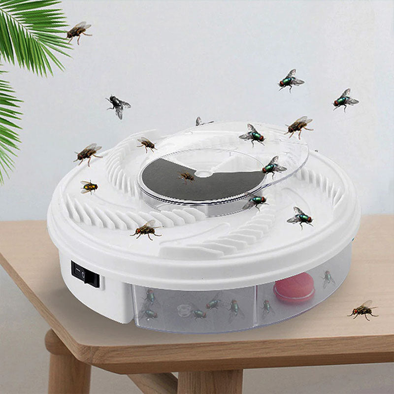 Chemical-Free Fly Trap – SilentCatch