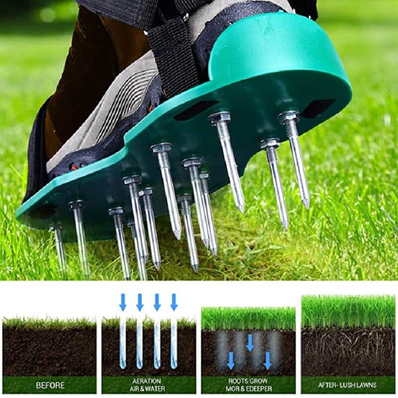 Turf Enhancer – Transform Every Step into a Lush, Green Lawn Secret!
