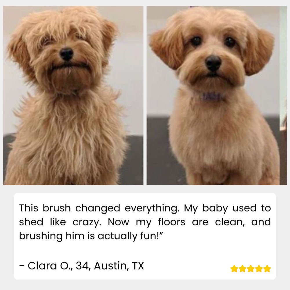 SteamSleek™ — End Shedding Struggles and Gift Your Pet a Silky, Stress-Free Glow