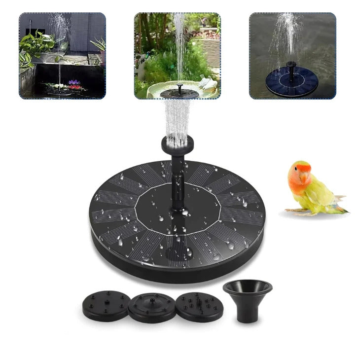 Transform Your Garden into a Lively Oasis of Freshness and Serenity