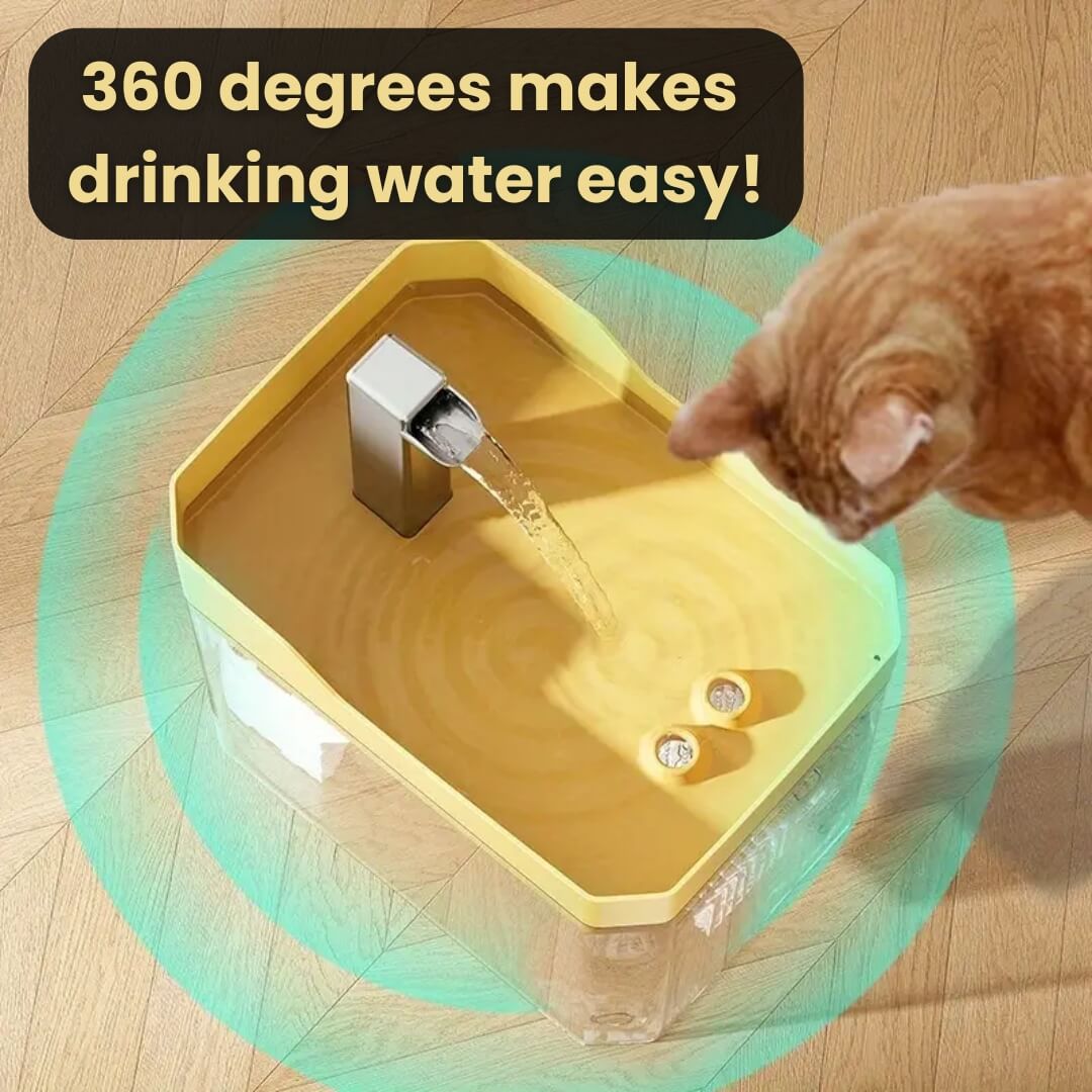 RamiraStream™ — Keep Your Cat Happy, Hydrated, and Bursting with Energy Every Day