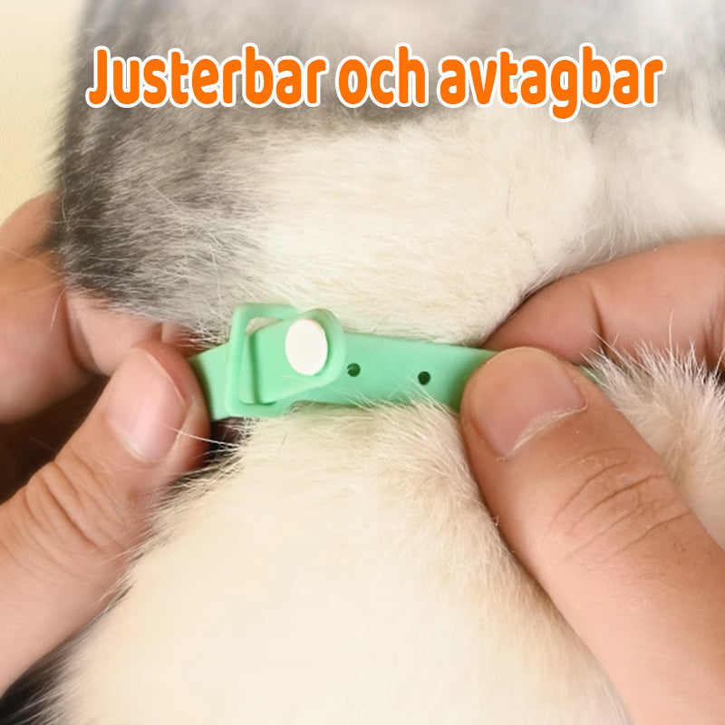 Automatic Toy for Cats – Unleash Your Feline's Wild Energy!