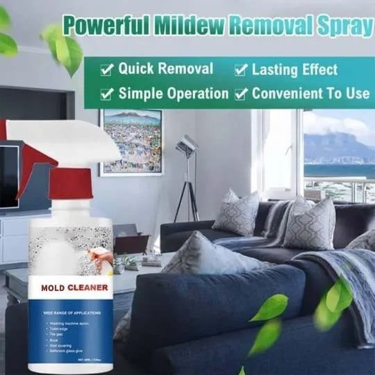 BioPureMist™ — Erase Mold Instantly for a Safer, Fresher Home You Love