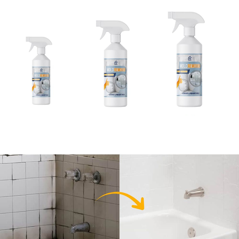 Mold-Free Home Air Quality Solution for Comfortable Breathing