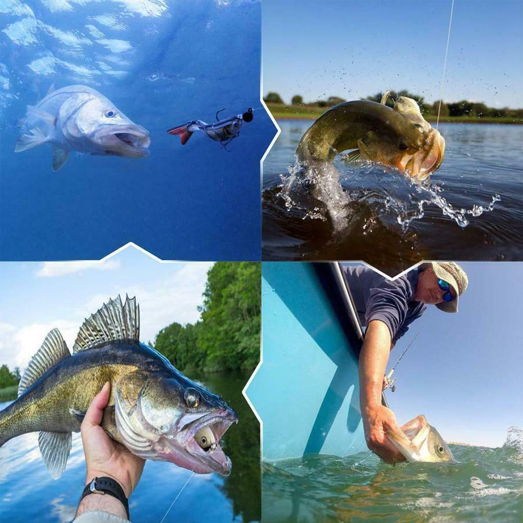 More Bites, Less Waiting – PredatorX Fishing Gear