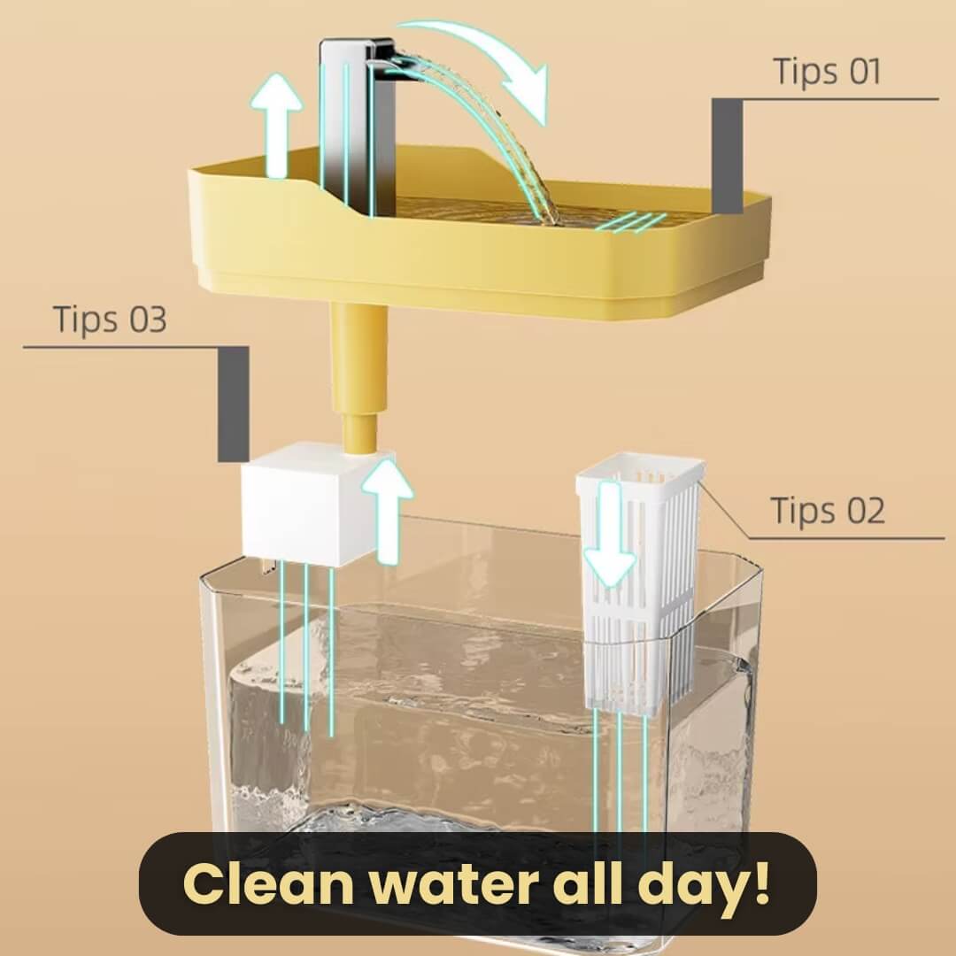 RamiraStream™ — Keep Your Cat Happy, Hydrated, and Bursting with Energy Every Day