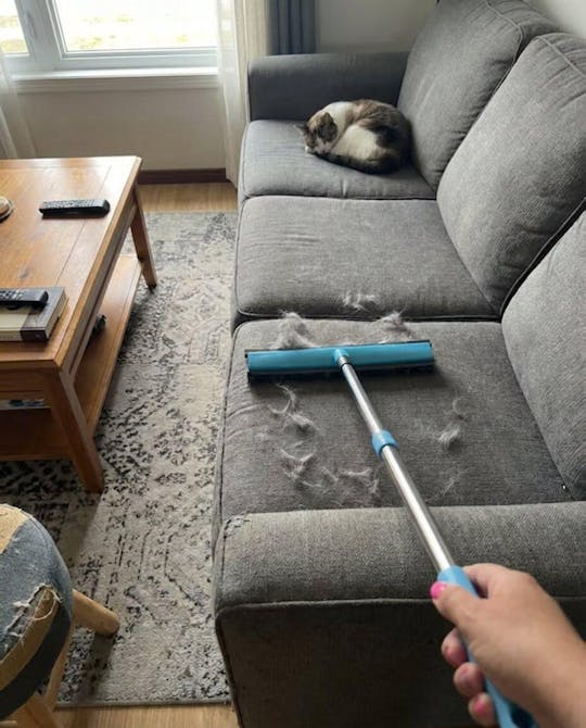 Pet Hair Remover – Eliminate Fur and Enjoy a Hair-Free Home
