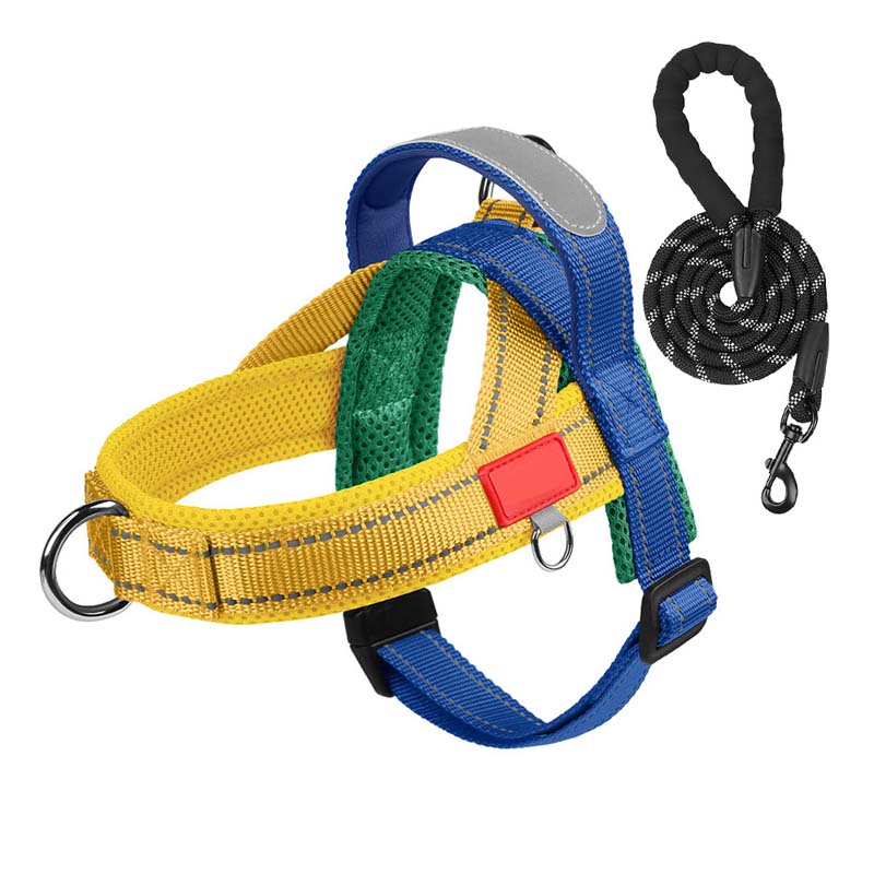 Comfort Harness for Dogs – Easy Wear and Unrestricted Freedom