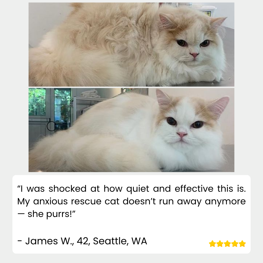 SteamSleek™ — End Shedding Struggles and Gift Your Pet a Silky, Stress-Free Glow