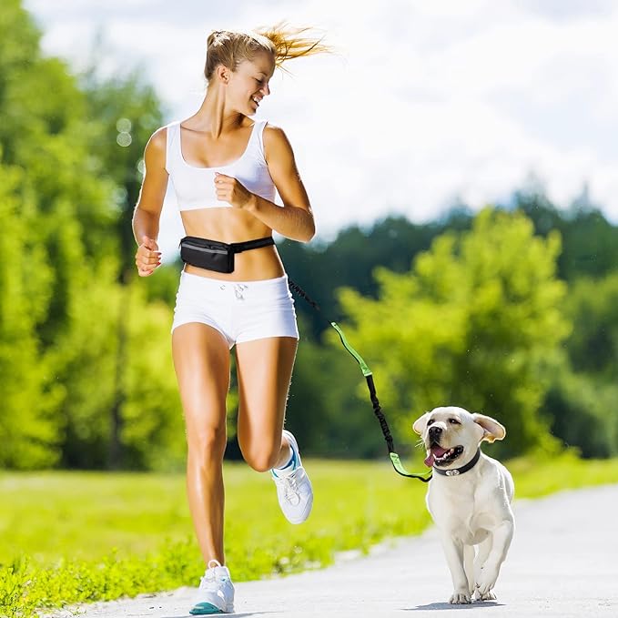 Soft Control Dog Leash for Relaxed Walks Without Jerking