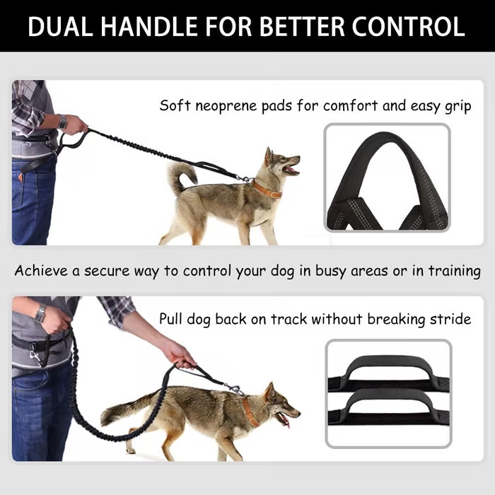 Soft Control Dog Leash for Relaxed Walks Without Jerking