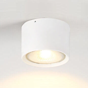LED Ceiling Cylinder Spotlight