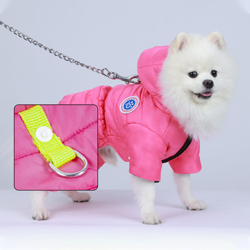 Transform Cold Winter Days into Cozy Comfort Moments for Your Dog