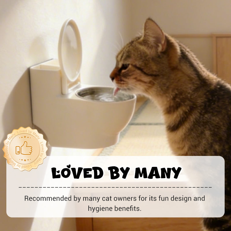 Stylish Cat Food Holder – Transform Mealtime into an Elegant Highlight