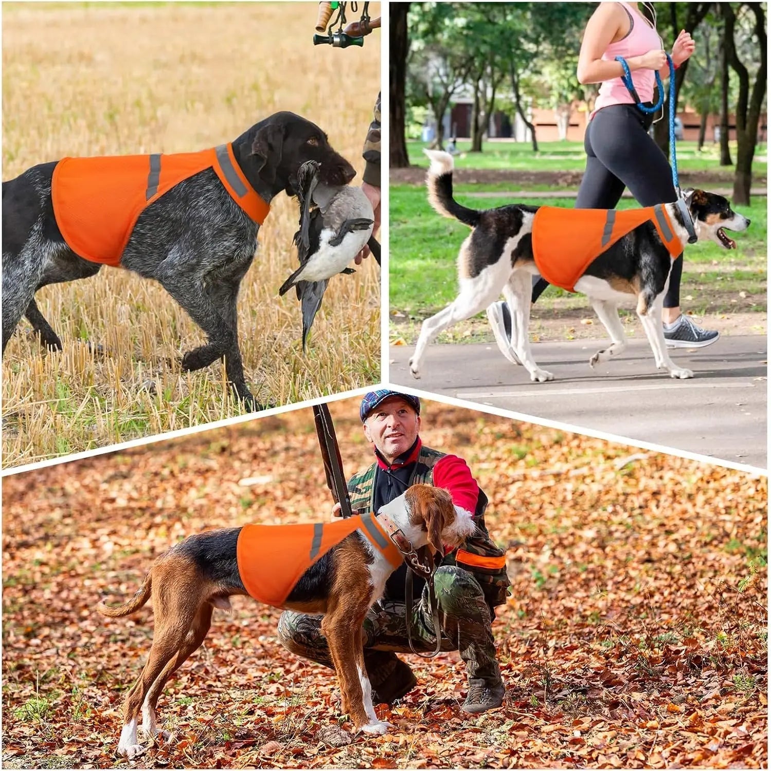 Reflective Safety Vest for Dogs – Make Your Pet Shine at Night