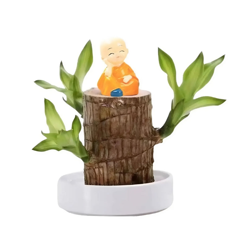 VerdeAura™ — Instantly Transform Any Space into a Calm, Lucky Sanctuary