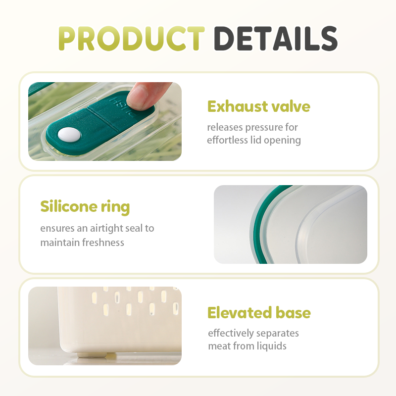 Freshness Container – Feel the Freshness and Extend Food Life