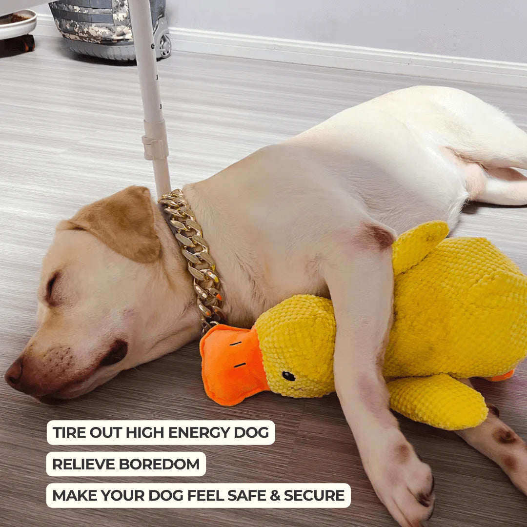 Soft Calming Dog Toy for Comfort and Mental Stimulation