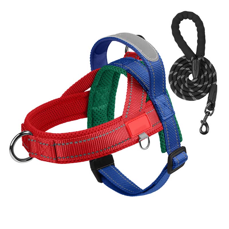 Comfort Harness for Dogs – Easy Wear and Unrestricted Freedom
