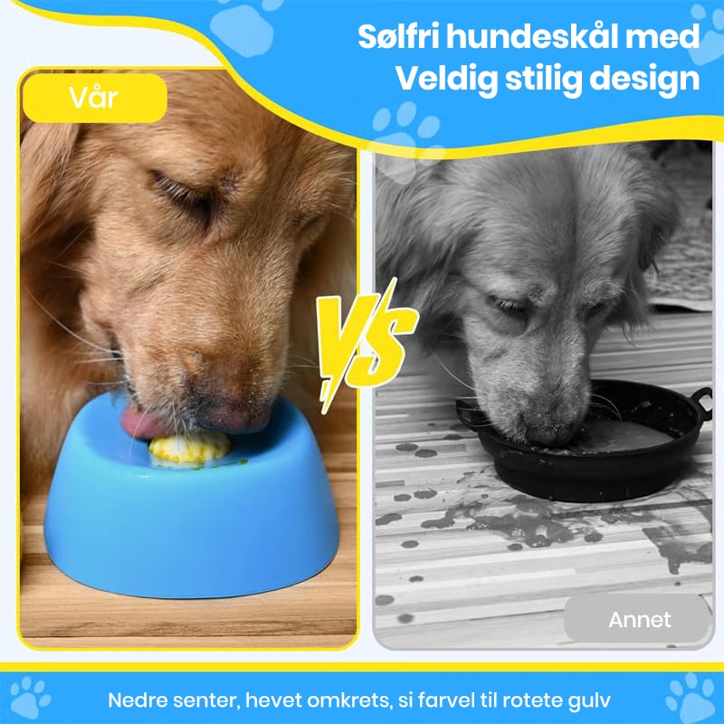Calm Drinking Solution for Stress-Free Digestion and Happy Dogs