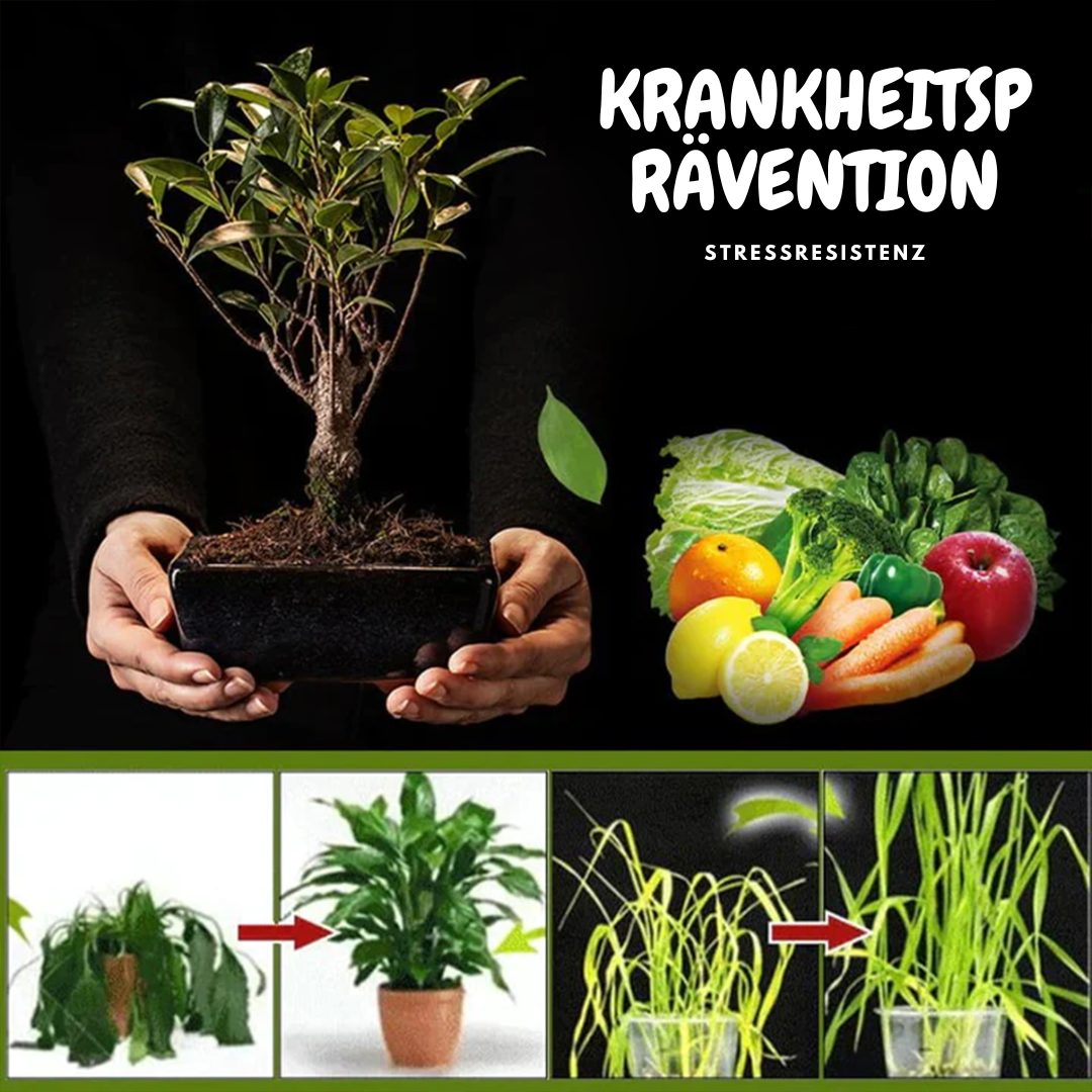 Unlock Vibrant, Lively Plants in Just Days with TerraPulse