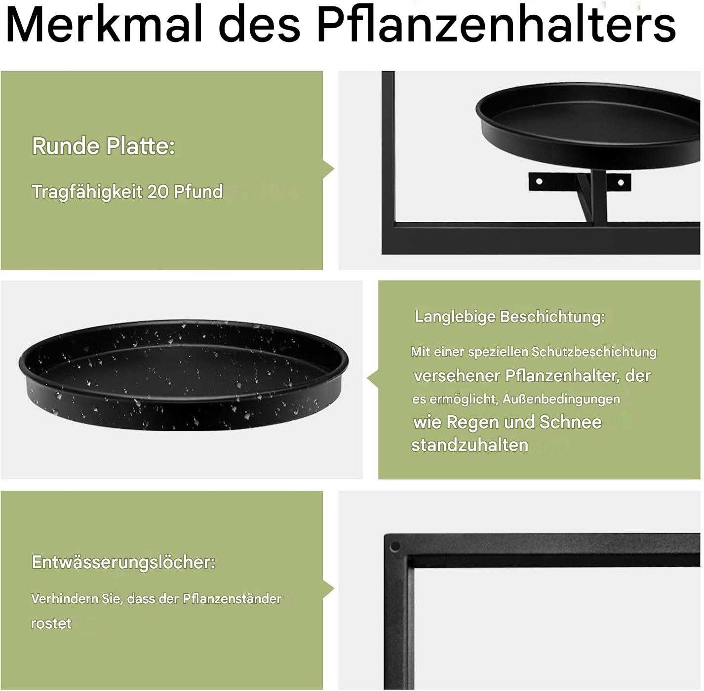 Wall Mounted Plant Holder | Metal Frame | Space-Efficient | Plantify