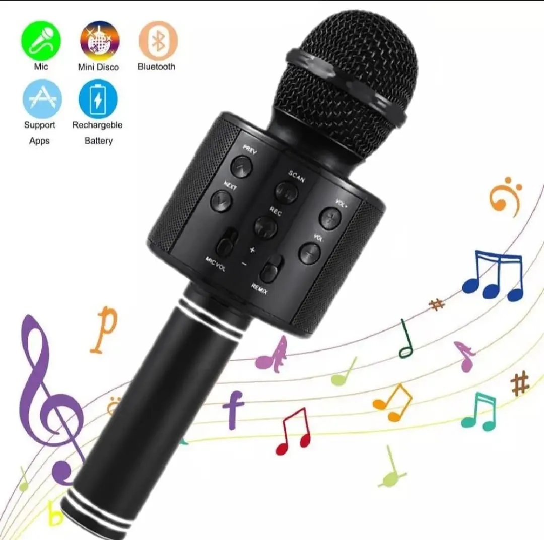 Transform Any Space into Your Personal Stage for Powerful Voices and Party Vibes
