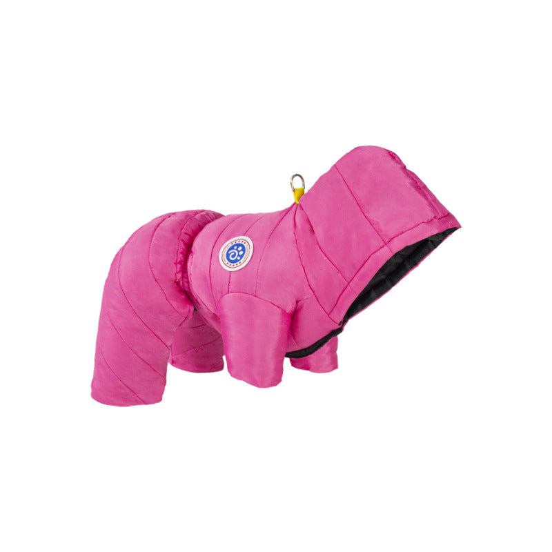 Transform Cold Winter Days into Cozy Comfort Moments for Your Dog