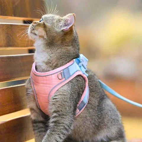 Comfort Harness for Cats - VeloraPaw Style