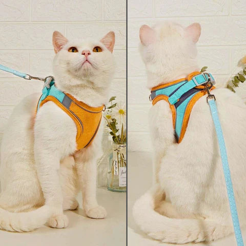 Comfort Harness for Cats - VeloraPaw Style