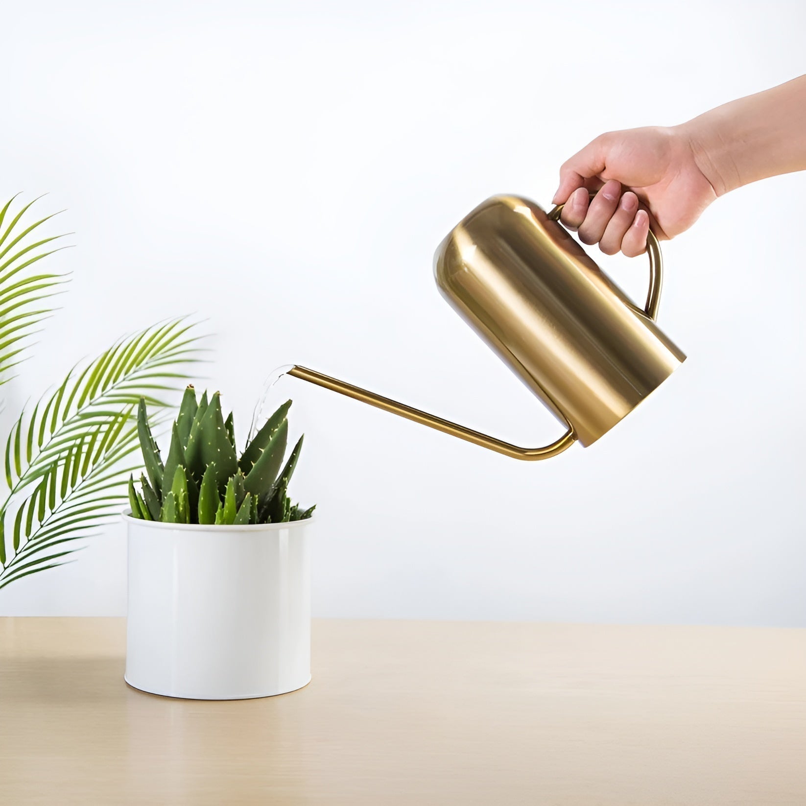 Precise Watering Tool for Healthy Plants – Breathable Growth Solution