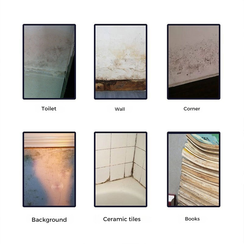 Ramuloze™ — Permanently Erase Mold and Reclaim a Fresh, Healthy Home