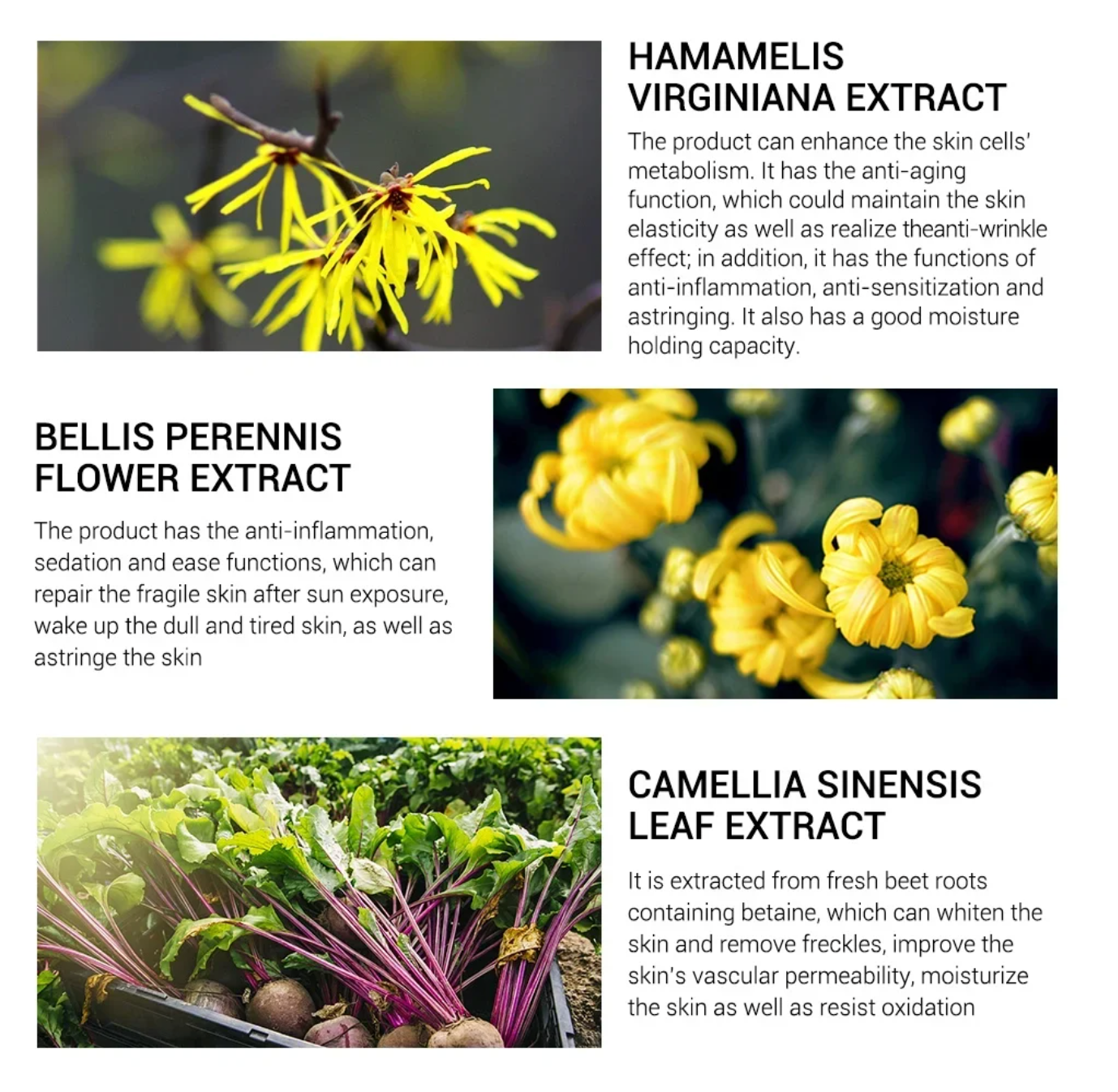 Zenvada™ Magical Pore Remover — Instant Poreless, Matte Perfection | 1+1 Free