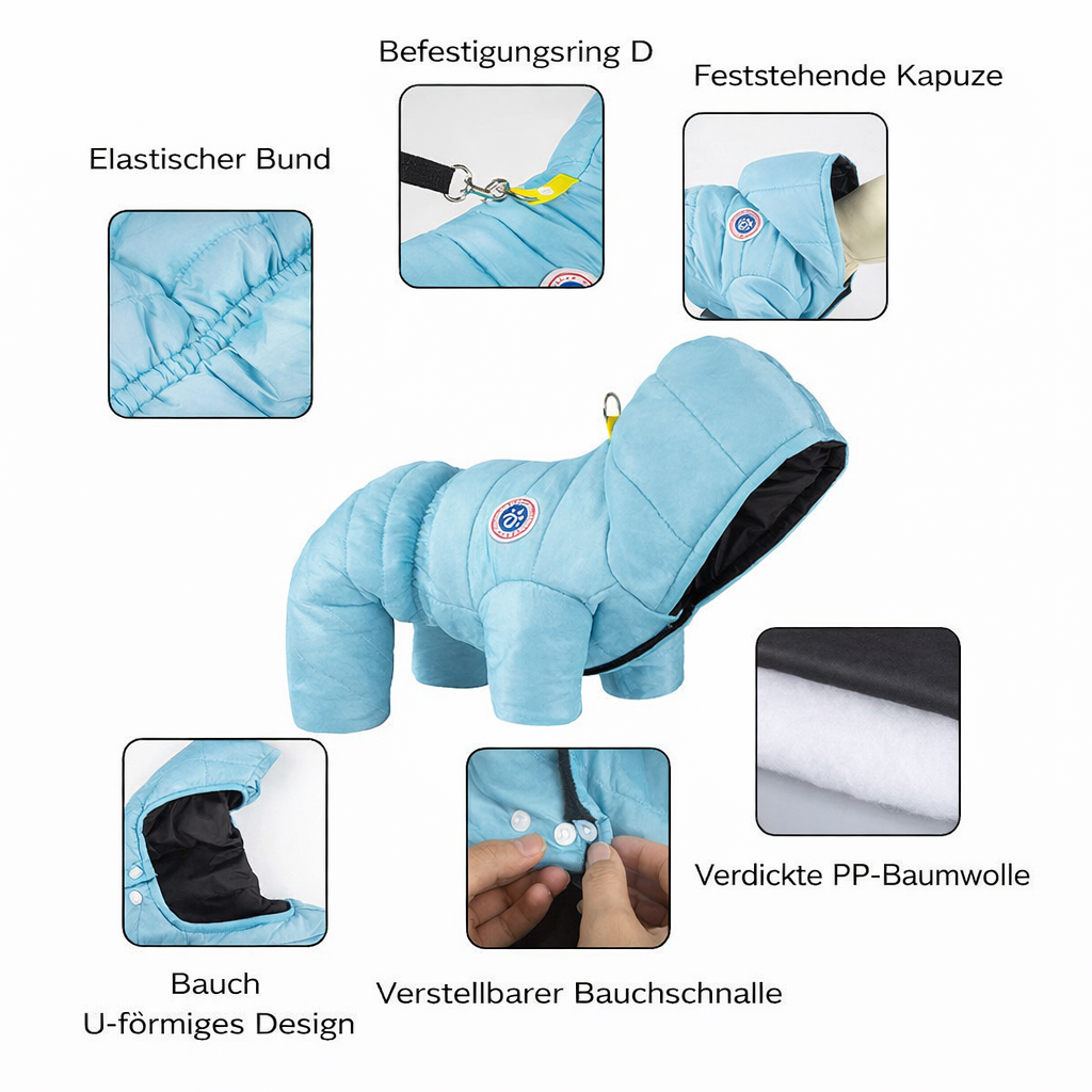 Transform Cold Winter Days into Cozy Comfort Moments for Your Dog
