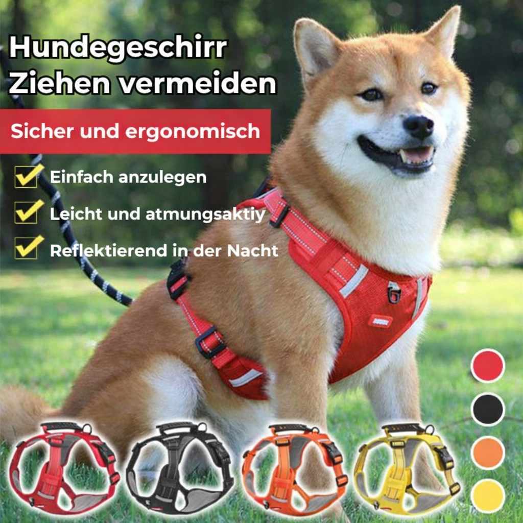 PawEase Harness - Enjoy Relaxed Walks Without Pulling and Maximum Comfort