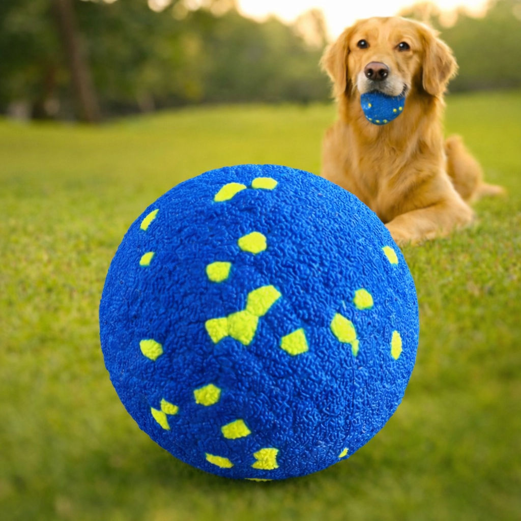 Daily Adventure Dog Toy for Fun and Energy