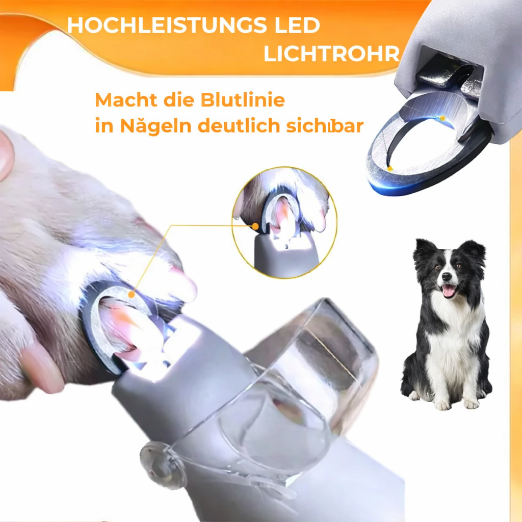 PawLume — Safe Grip for Stress-Free, Caring Grooming Moments