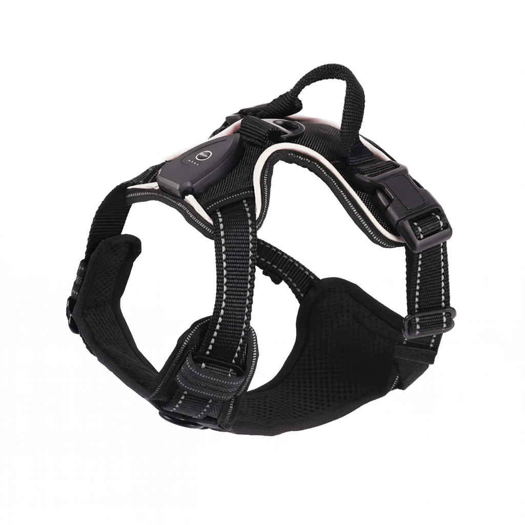 LED Dog Harness for Enhanced Nighttime Visibility