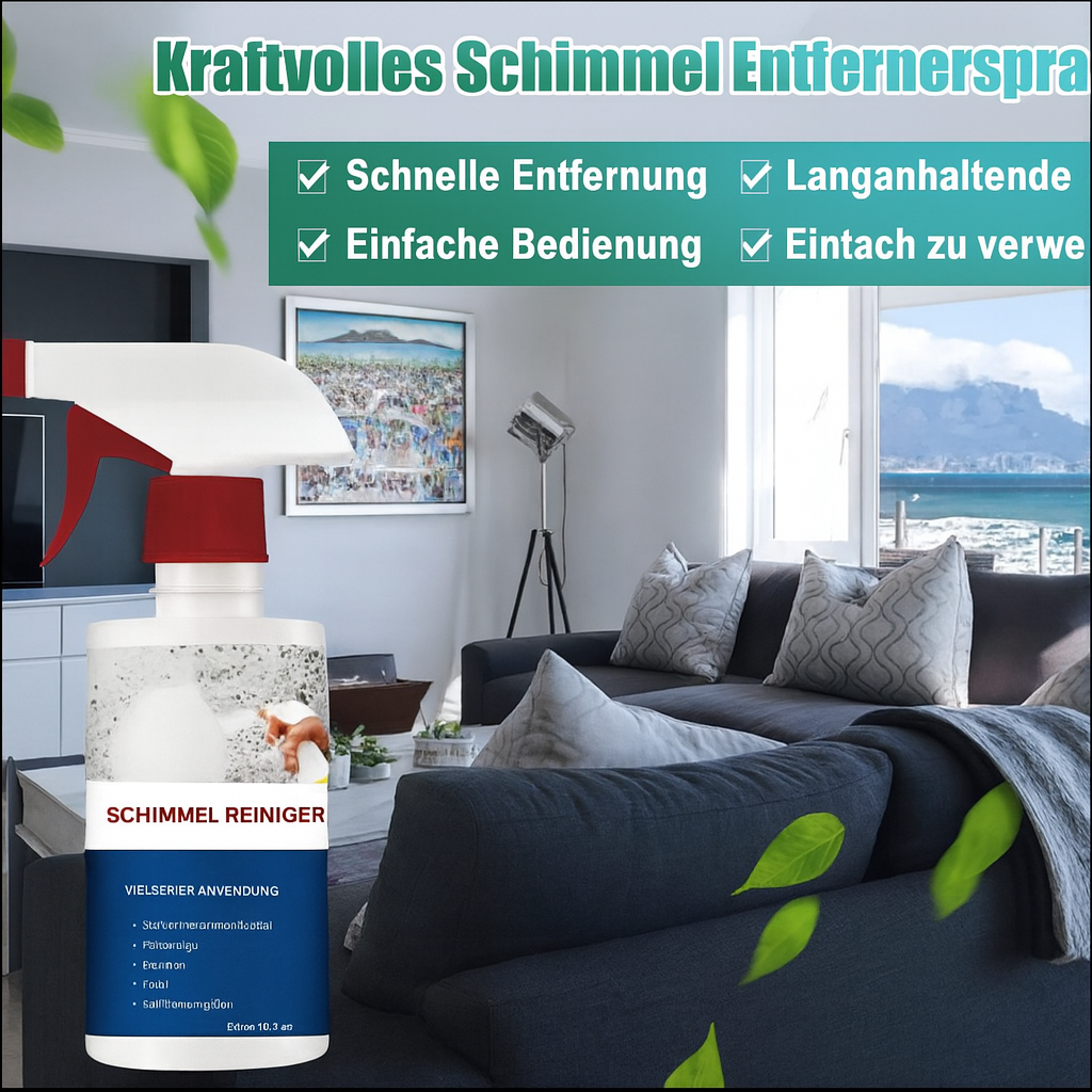 Mold Remover – Finally Free from Hazardous Mold