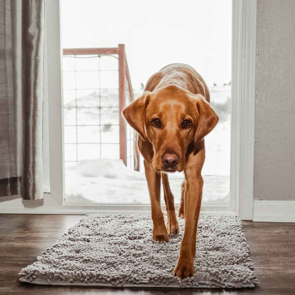 Buy One, Get One Free | PawGuard Floor Mat – Keep Your Home Clean